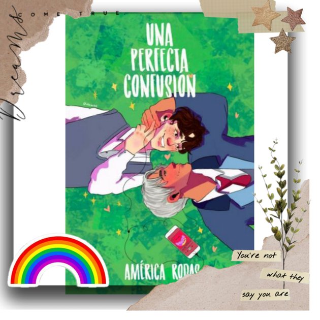  Una perfecta confusión (Spanish Edition) eBook : Rodas, América  : Kindle Store