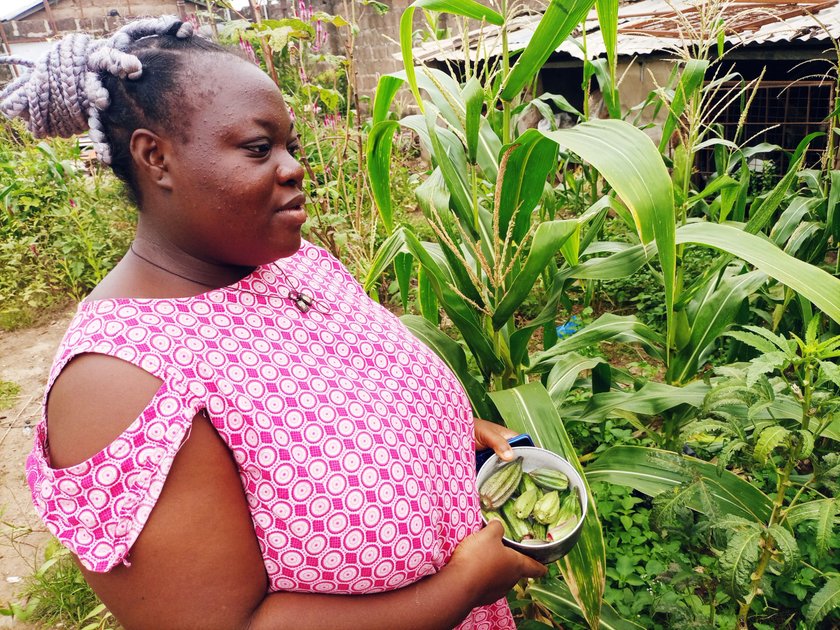 new-freshly-harvested-okro-produce-during-this-harsh-weather-condition