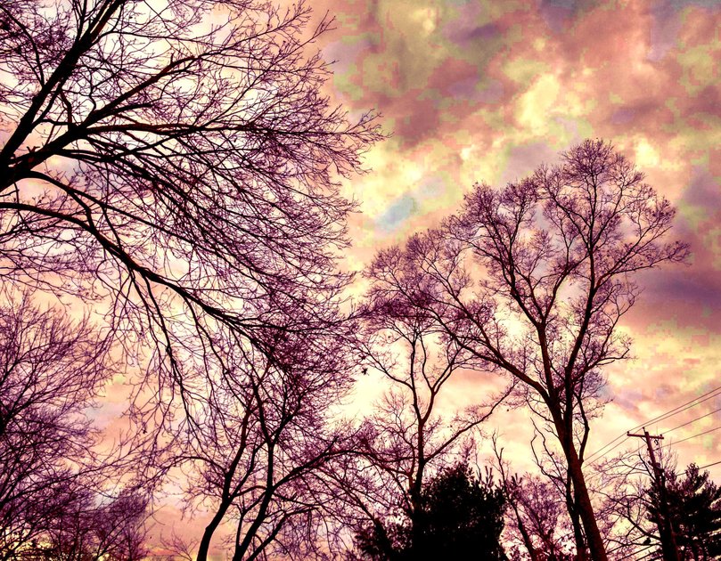 21 November 2020 - Late afternoon sky in November — Hive