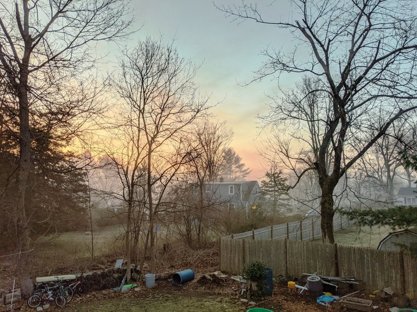 24 March 2021 - Foggy morning — Hive