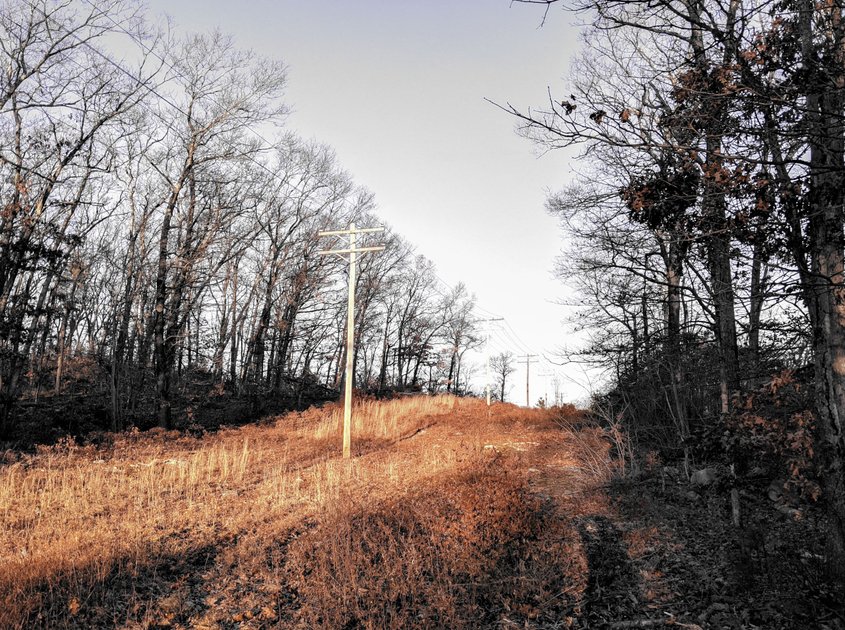 14 December 2021 - Sunny Winter afternoon in a suburban hillside park  — Hive