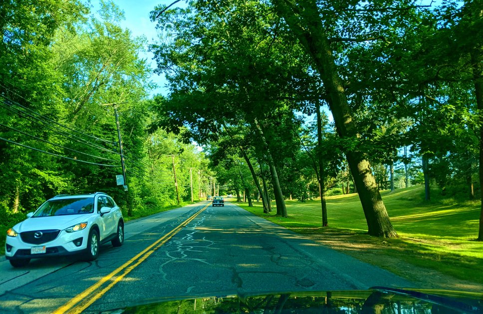 28 June 2021 - Driving down a sunny road in the Summer — Hive