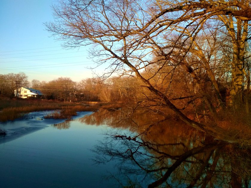 3 February 2019 - Small pond in the Winter — Hive