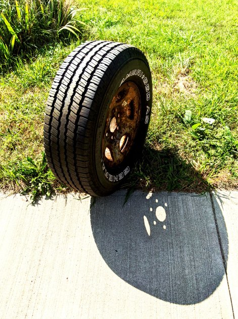 7 September 2021 - Wheel in the rays of sun — Hive