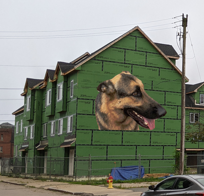 House decoration idea — Hive