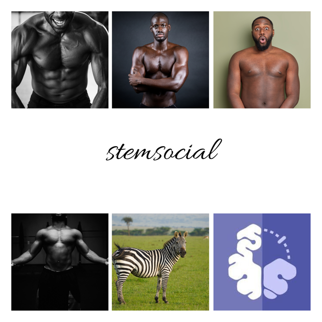 African Fitness Influencers And Steroid Use PeakD