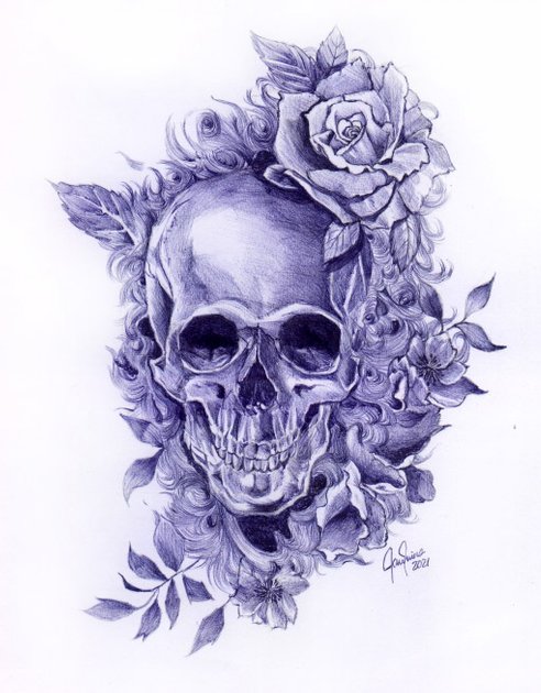 Skull and roses pen drawing / Calavera y rosas dibujo a bolígrafo | PeakD