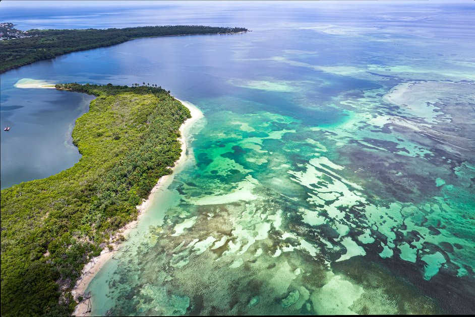 A Rare Aerial View of Buccoo Reef | PeakD