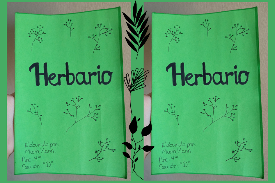 ESP|ENG] Te enseño cómo hacer la portada de un Herbario de plantas  medicinales. 🌿 || I show you how to make the cover of a Herbarium of  medicinal plants. 🌿 — Hive