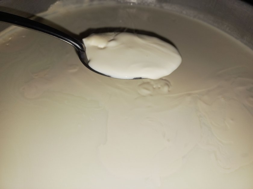 Milk Cream Preparation Recipe En Es PeakD   Eo6Mo1RpwRGVywEXE3rbxtdK9H4vGcvme1mC7R47yaJtMrwnG35FL6prPRw1EWAnjL3 