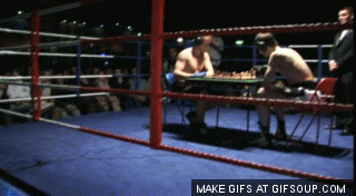 Chess Boxing #chess #boxing #chessboxing #sport #sports #weirdsports #