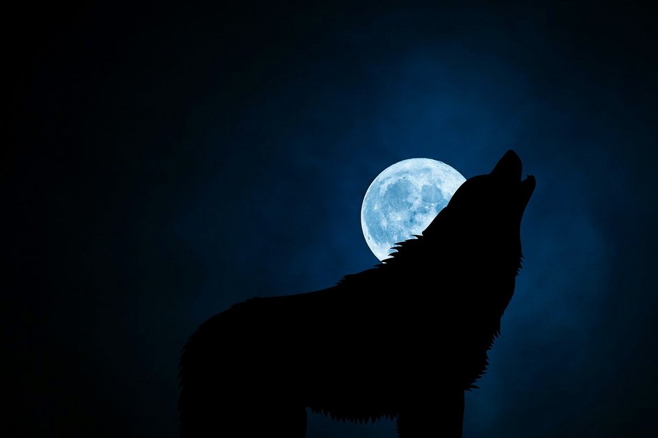 5 Minute FreeWrite**** Prompt: Moon Shadow (a Short Story) | PeakD