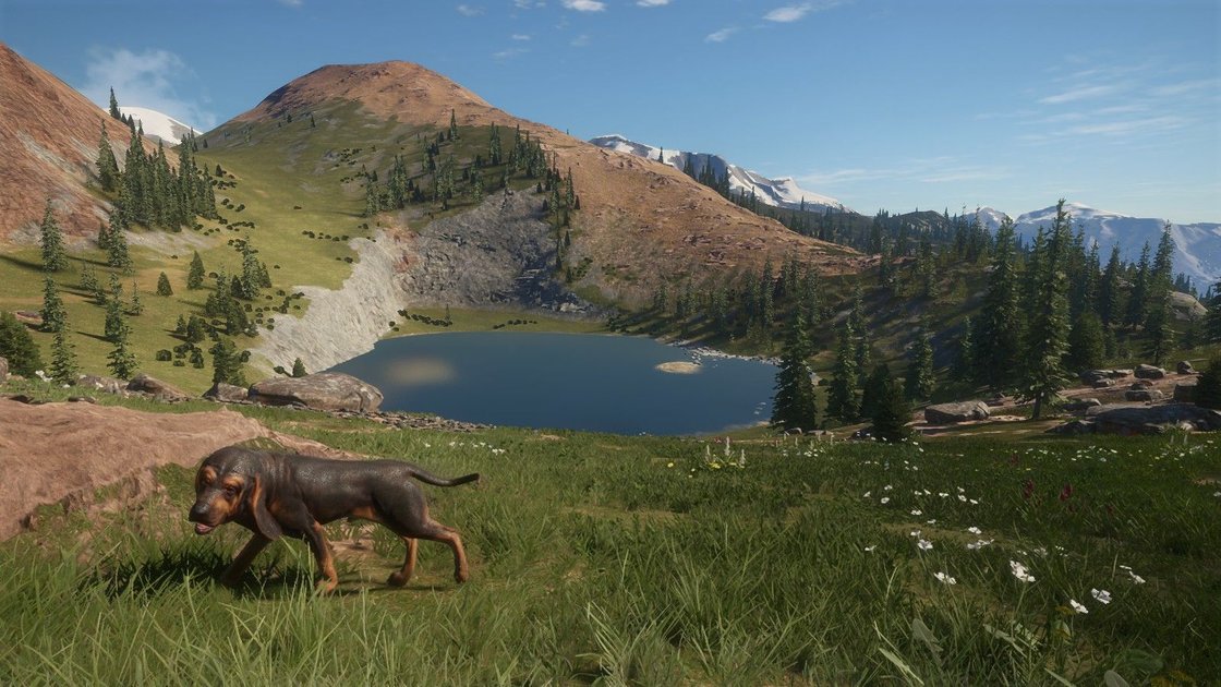 Hunting in Silver Ridge Peaks  theHunter: Call of the Wild