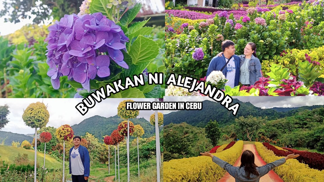 BUWAKAN NI ALEJANDRA CEBU'S WELLKNOWN FLOWER GARDEN PeakD