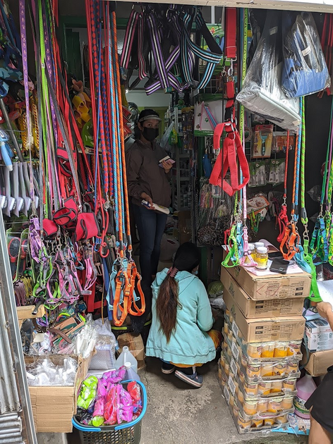 Sylvannas Pet Shop Baguio City Philippines Neoxian City