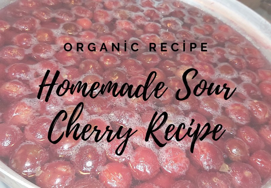 Homemade Sour Cherry Recipe | PeakD