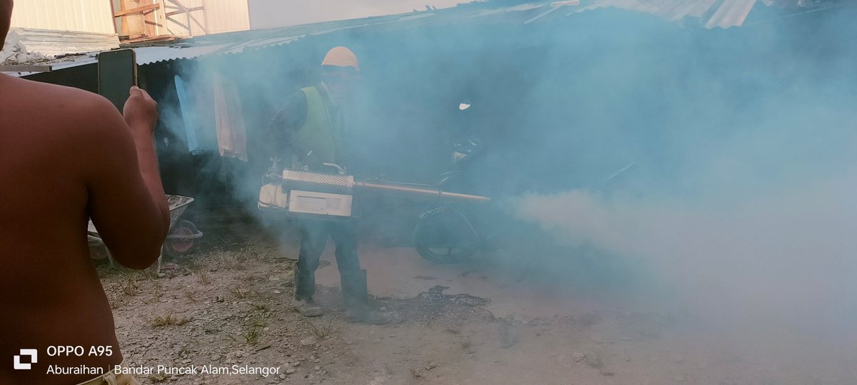 steps-to-control-mosquitoes-hive