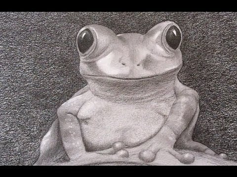 How to Draw a Realistic Frog