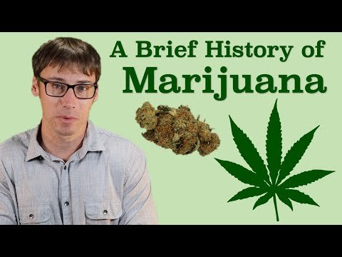 The History And Evolution Of Marijuana Cultivation And Usage | PeakD