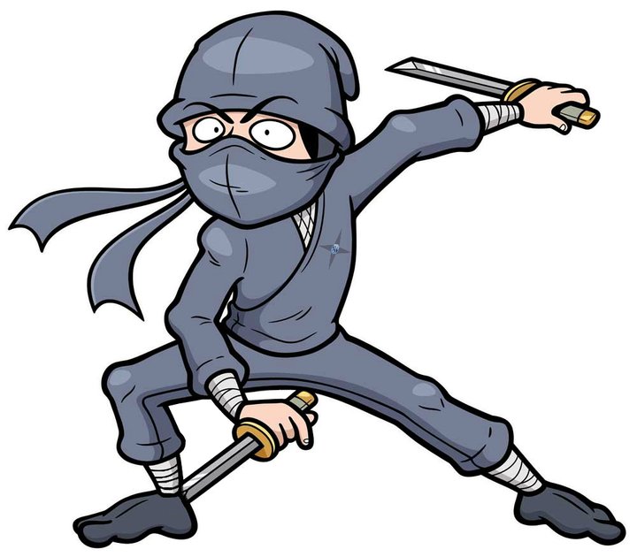 sneaky ninja
