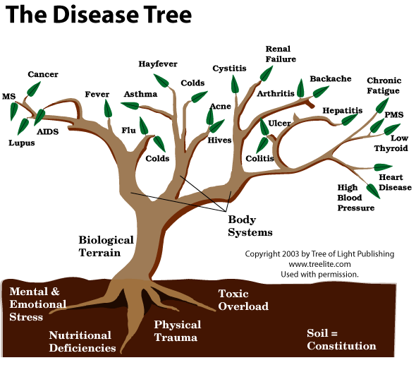 Dry-fasting and Turpentine for Terrain Modification and