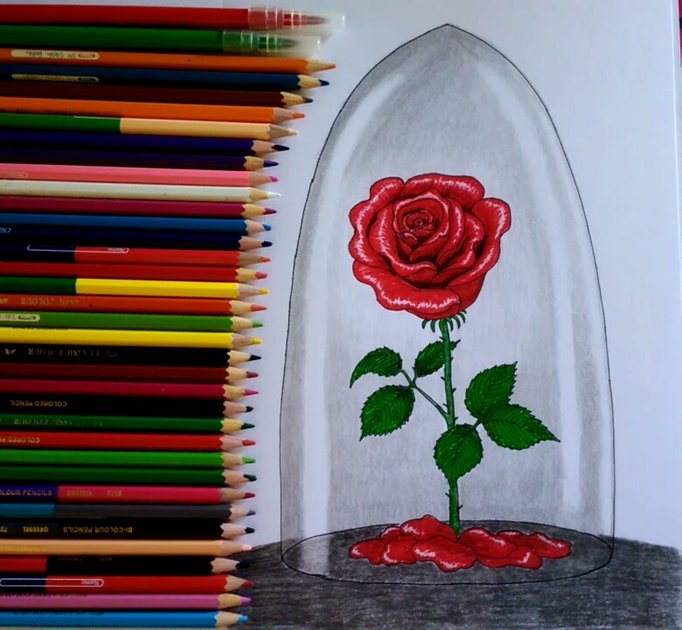 Drawing Challenge 2 Drawing Rose Beauty And The Beast With Risnanda Hive