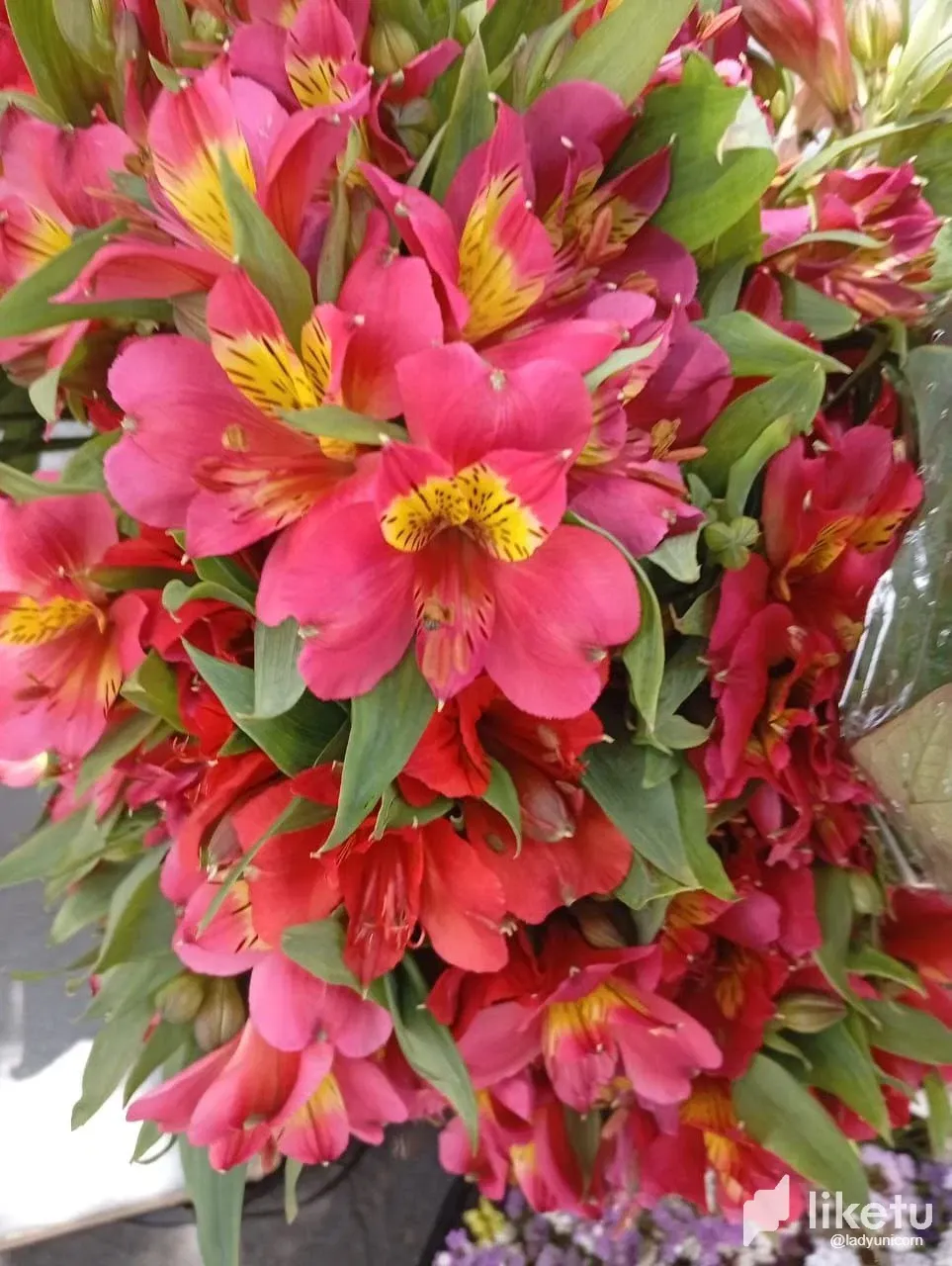j99IsKnK5AKaOWfF_photo_2025-02-24_18-58-40.webp