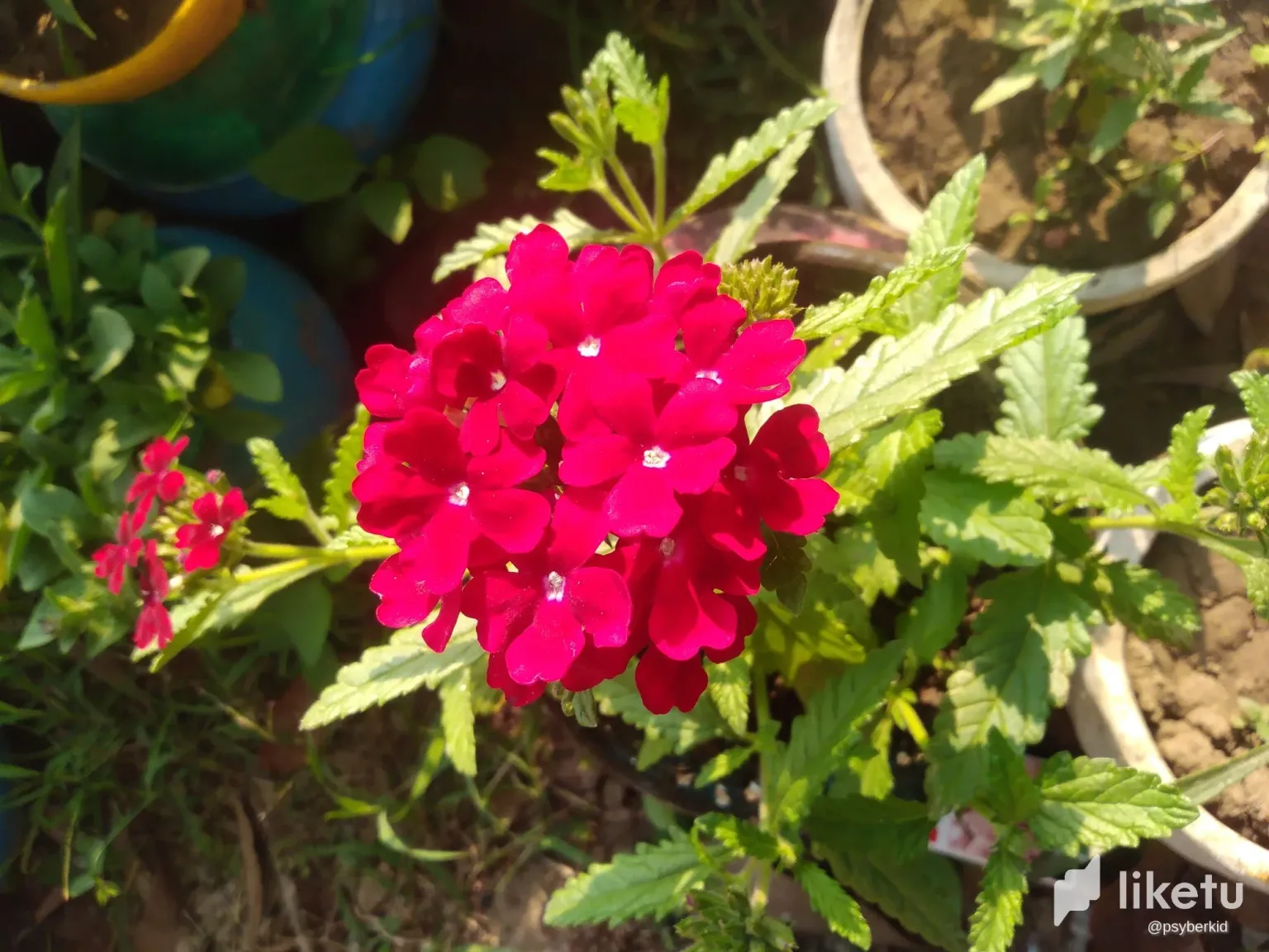 clrxpniax001sxisza5rh86xs_IMG_20240103_154022.webp