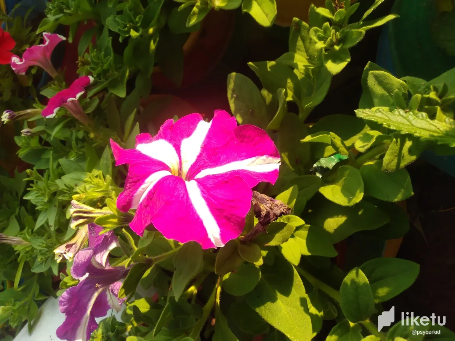 clrxpnvda00241xsz41x58bfy_IMG_20240103_153952.webp