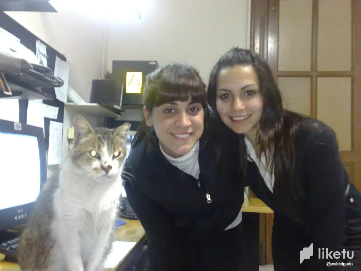 clrxmjvi500153tszc5vmgvvv_240820091048.webp