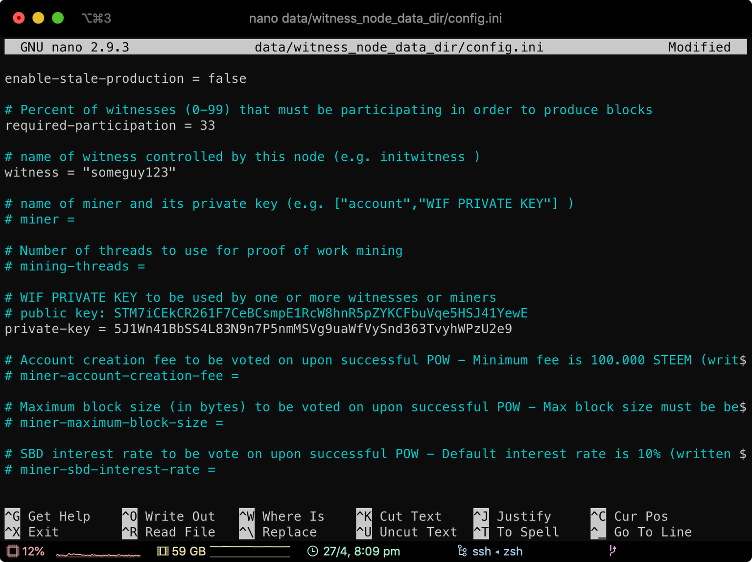 Screenshot of witness config.ini