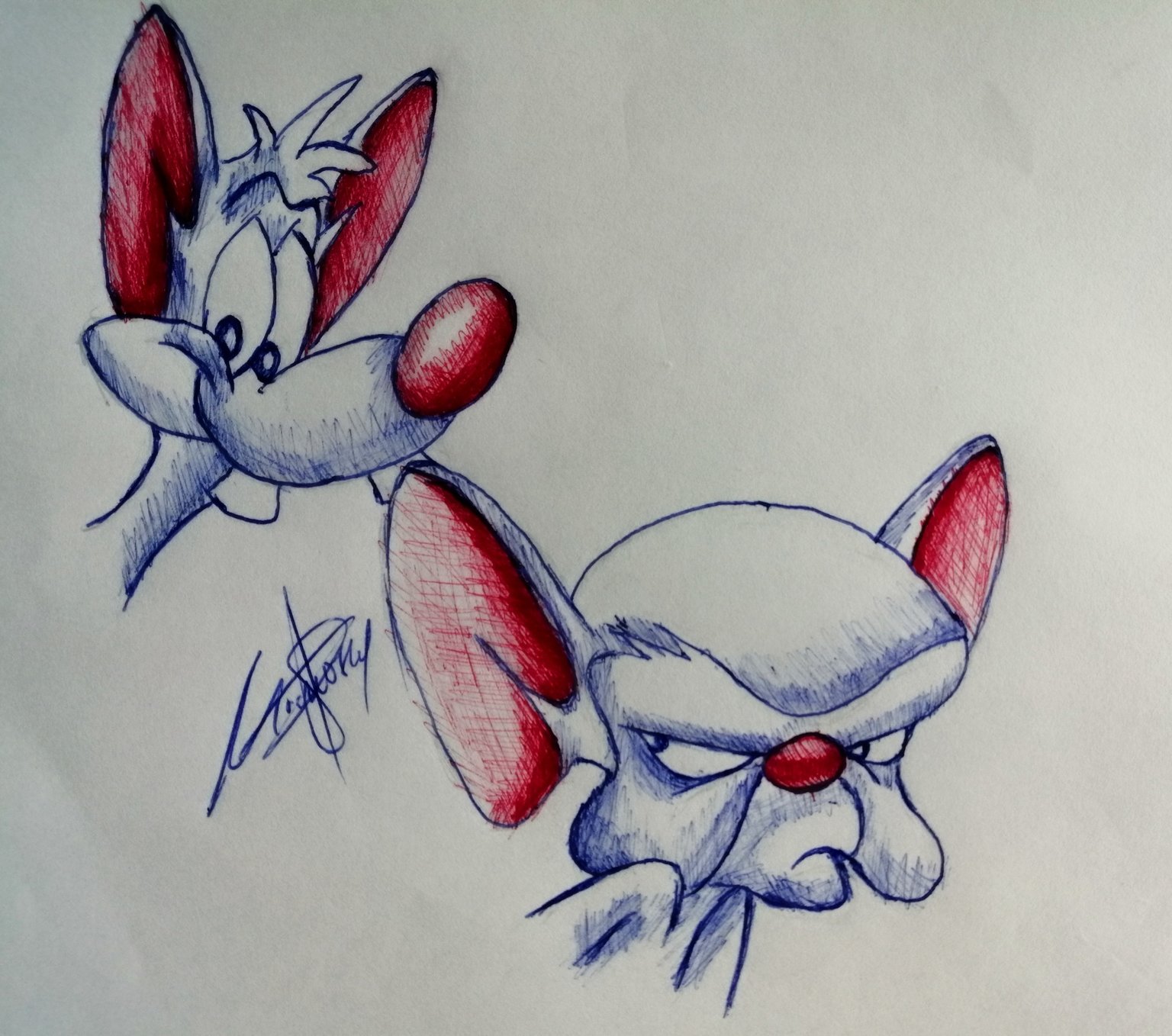 How to Draw Pinky And The Brain