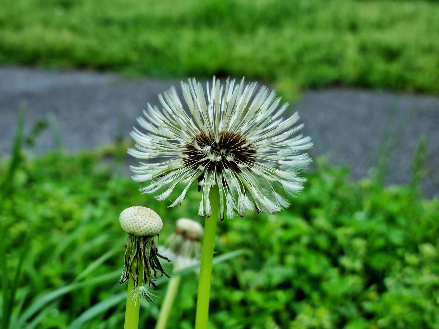 20230424_174704-01.jpeg