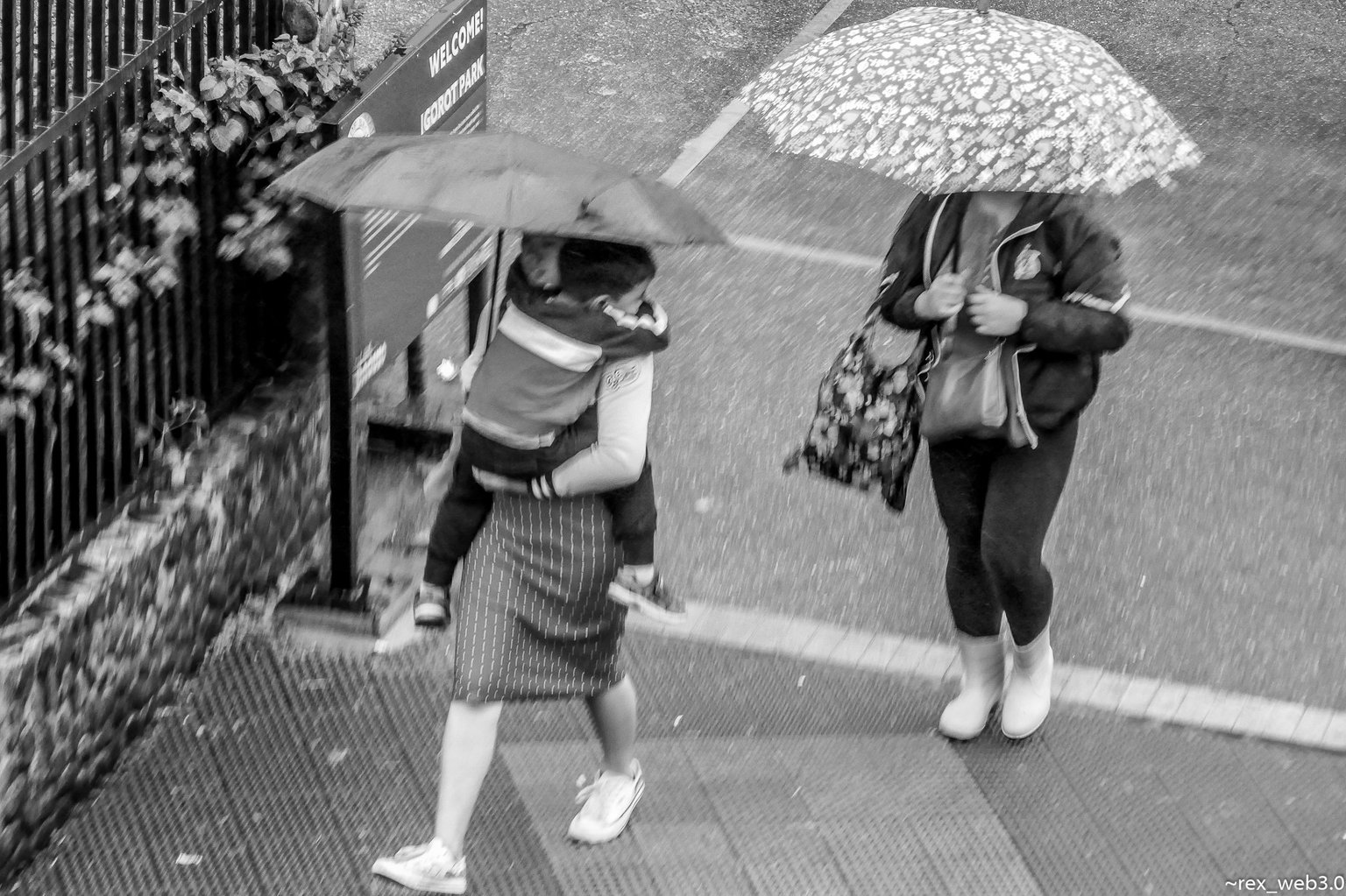 P1200867.jpg