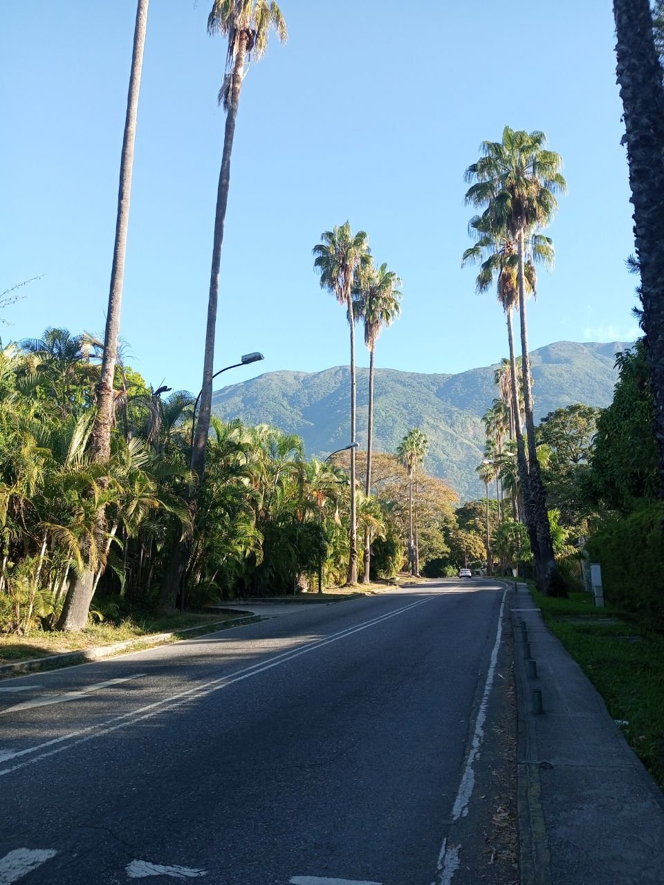 IMG_20240128_032845_615.jpg