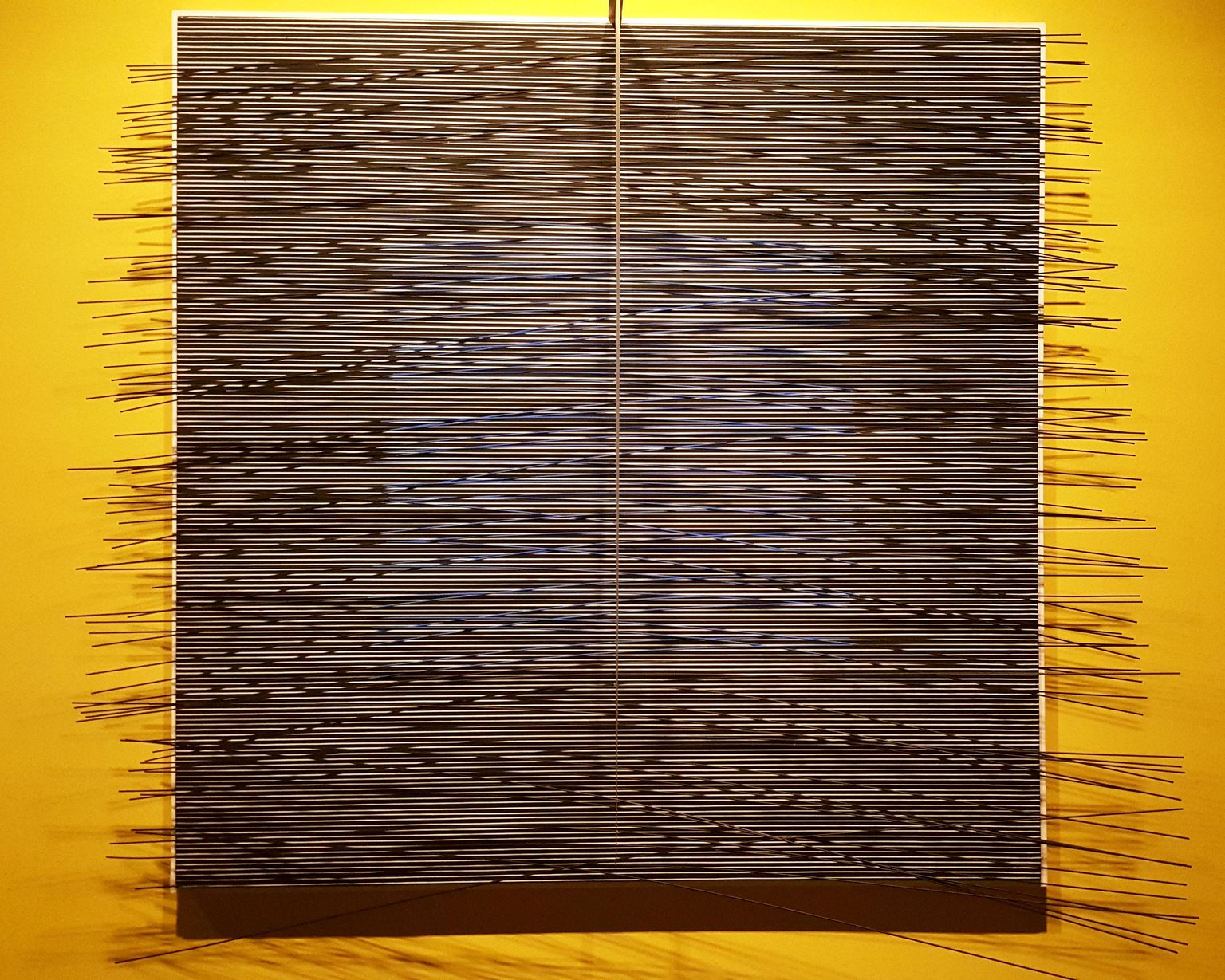 20250223_170654.jpg