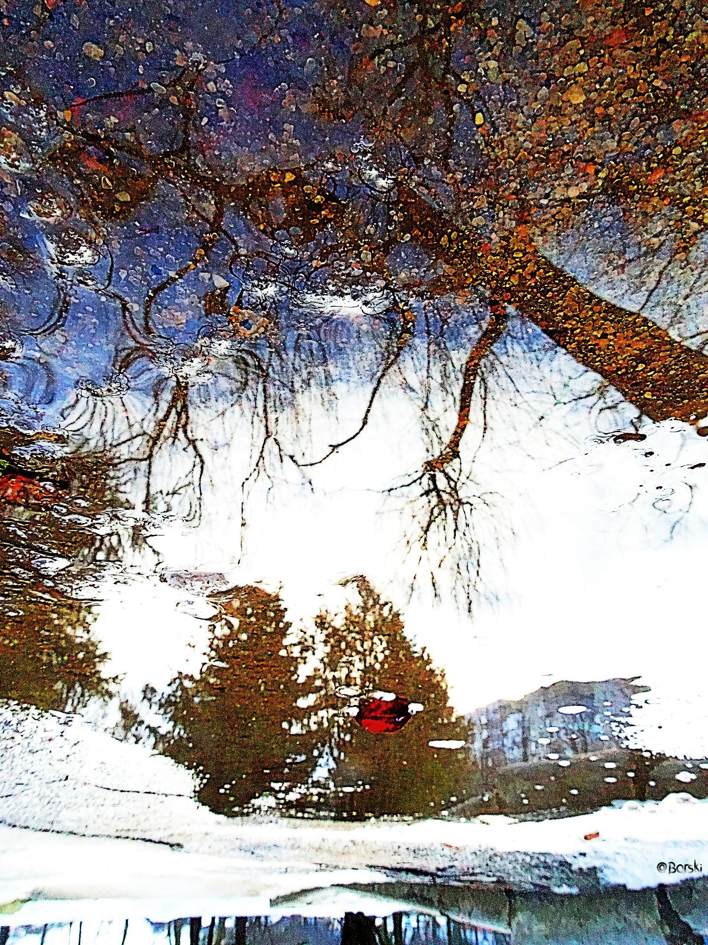 1aDSC06332.png