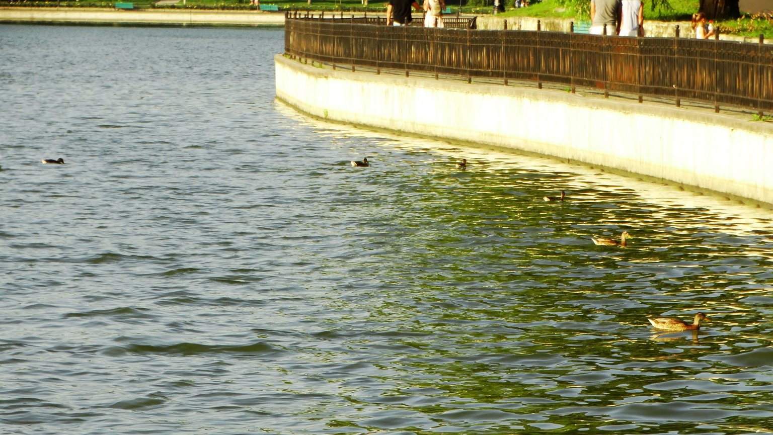 DSC07959.JPG