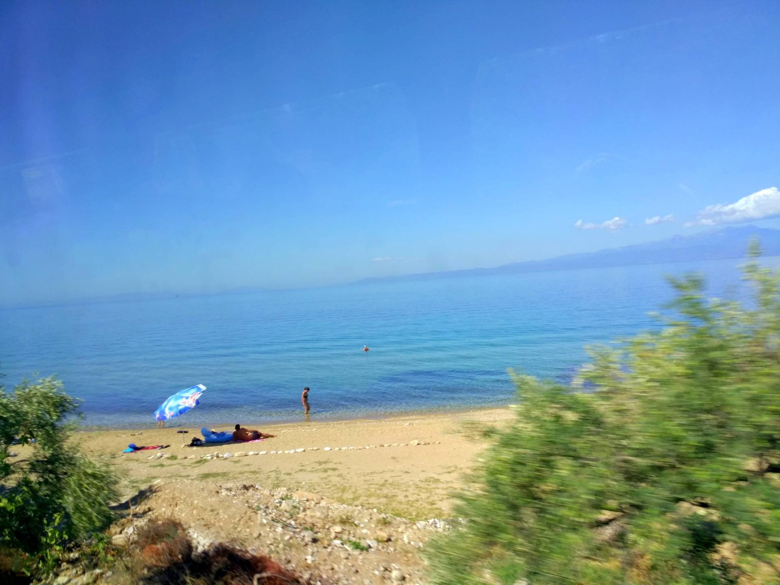 IMG_20170913_115555.1.jpg