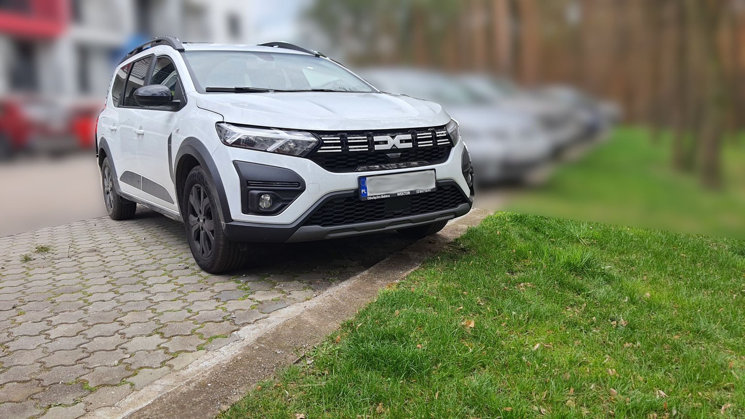 dacia5.jpg