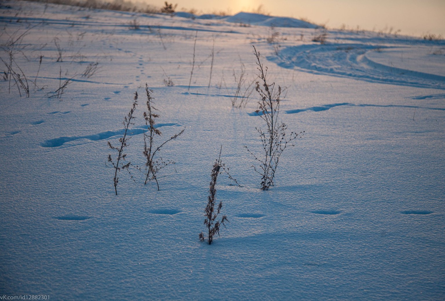 IMG_8836.jpg