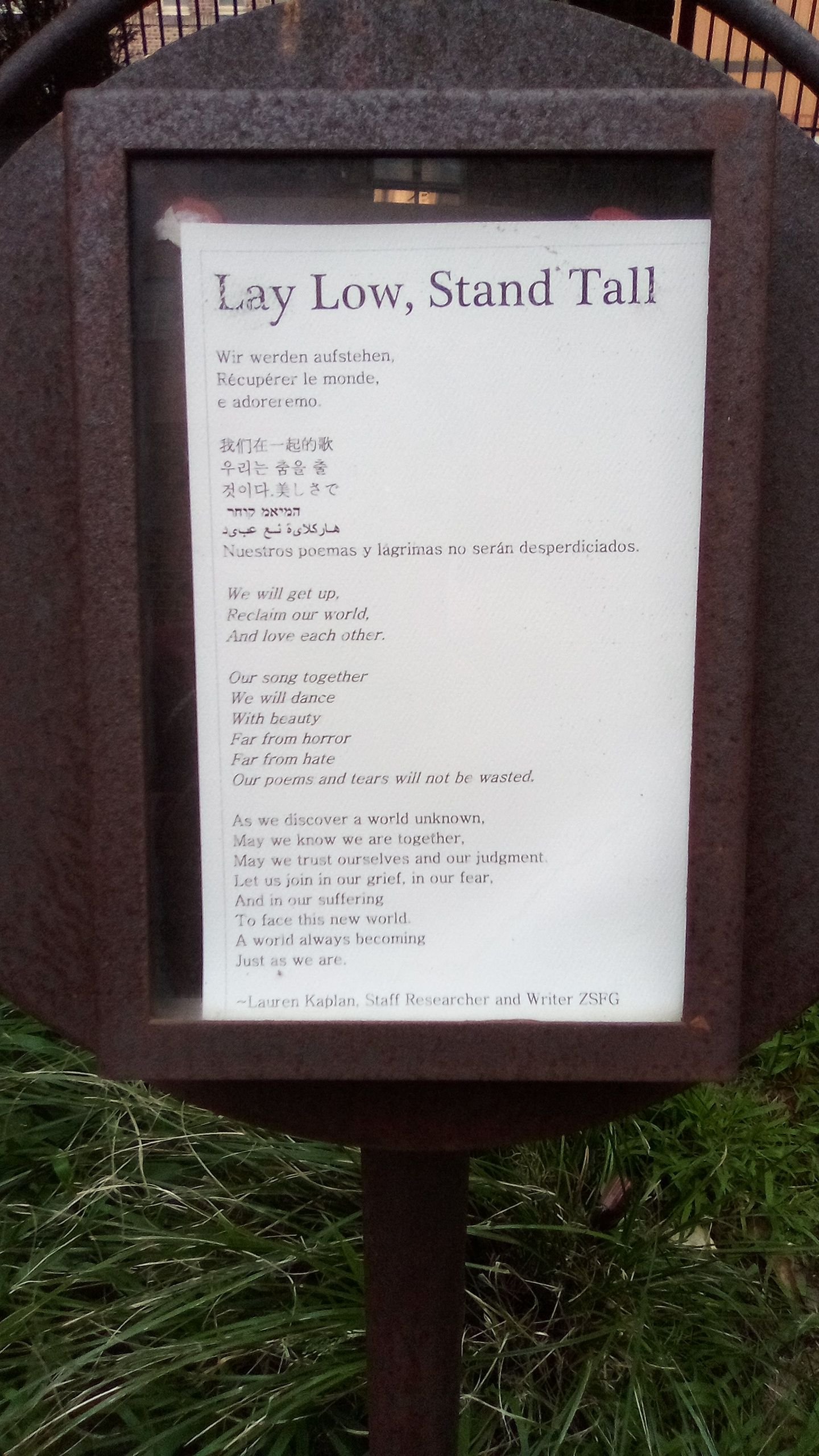 IMG_20250305_073711.jpg
