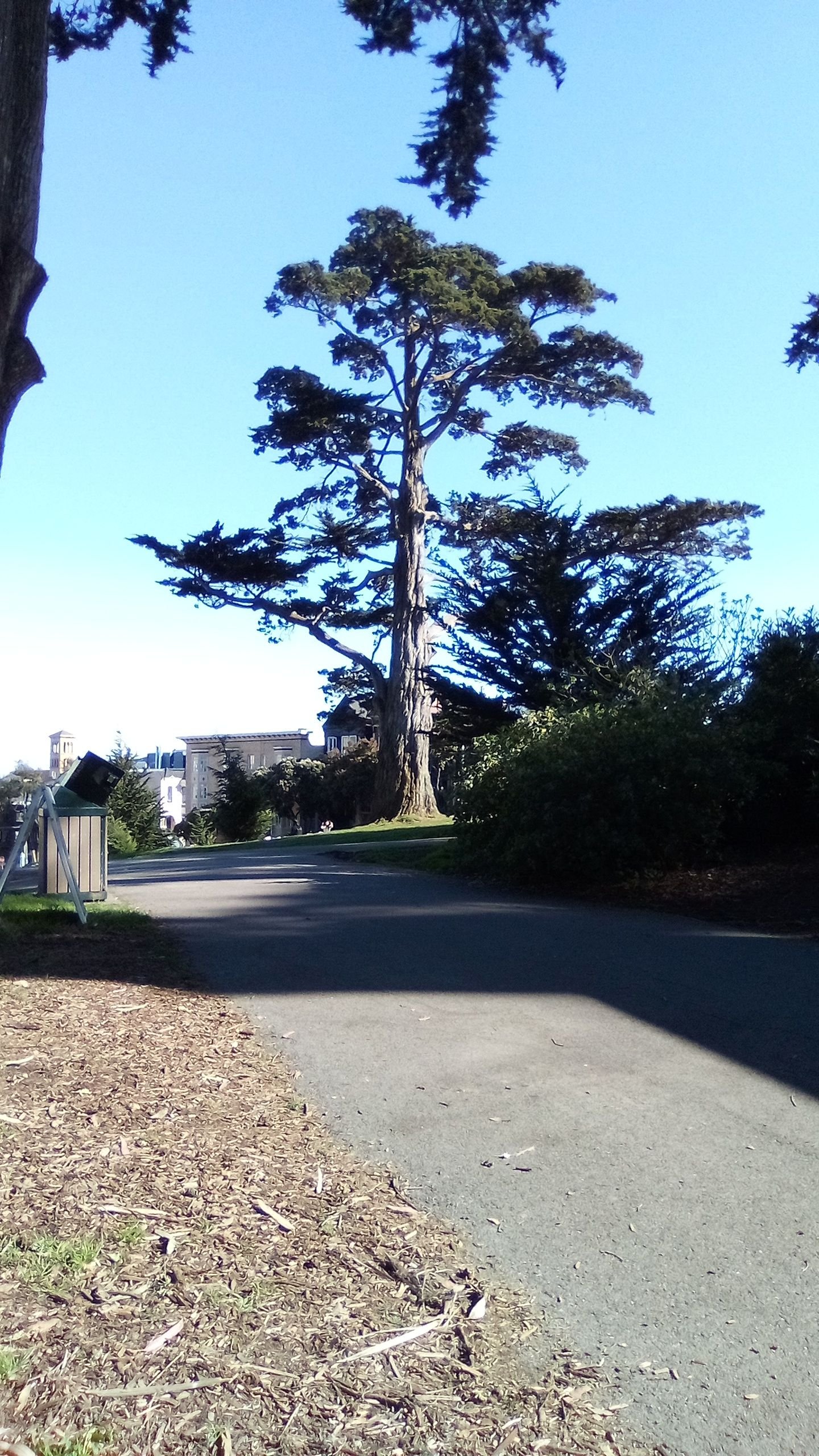 IMG_20250306_150046_1.jpg