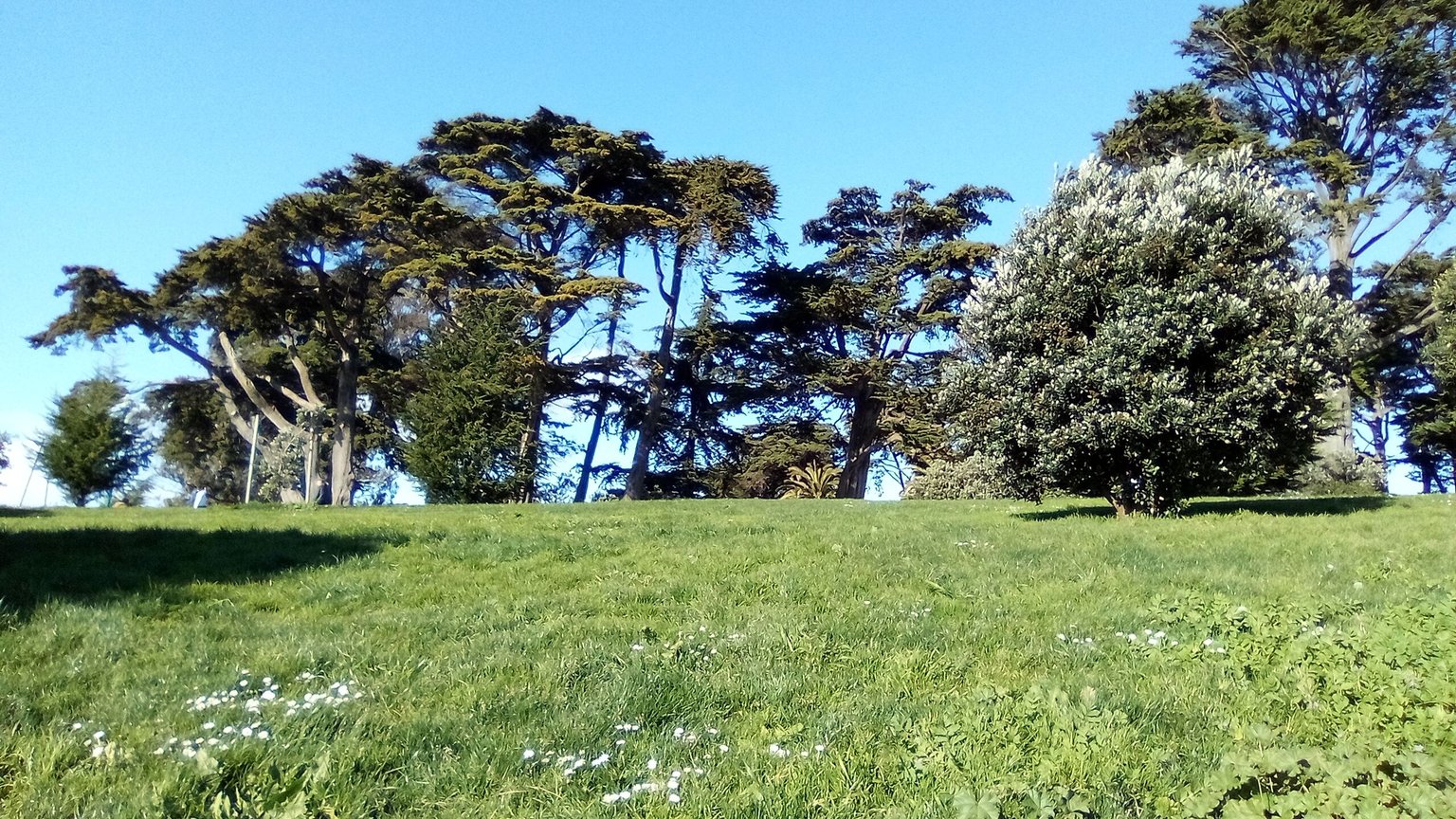IMG_20250306_154750.jpg