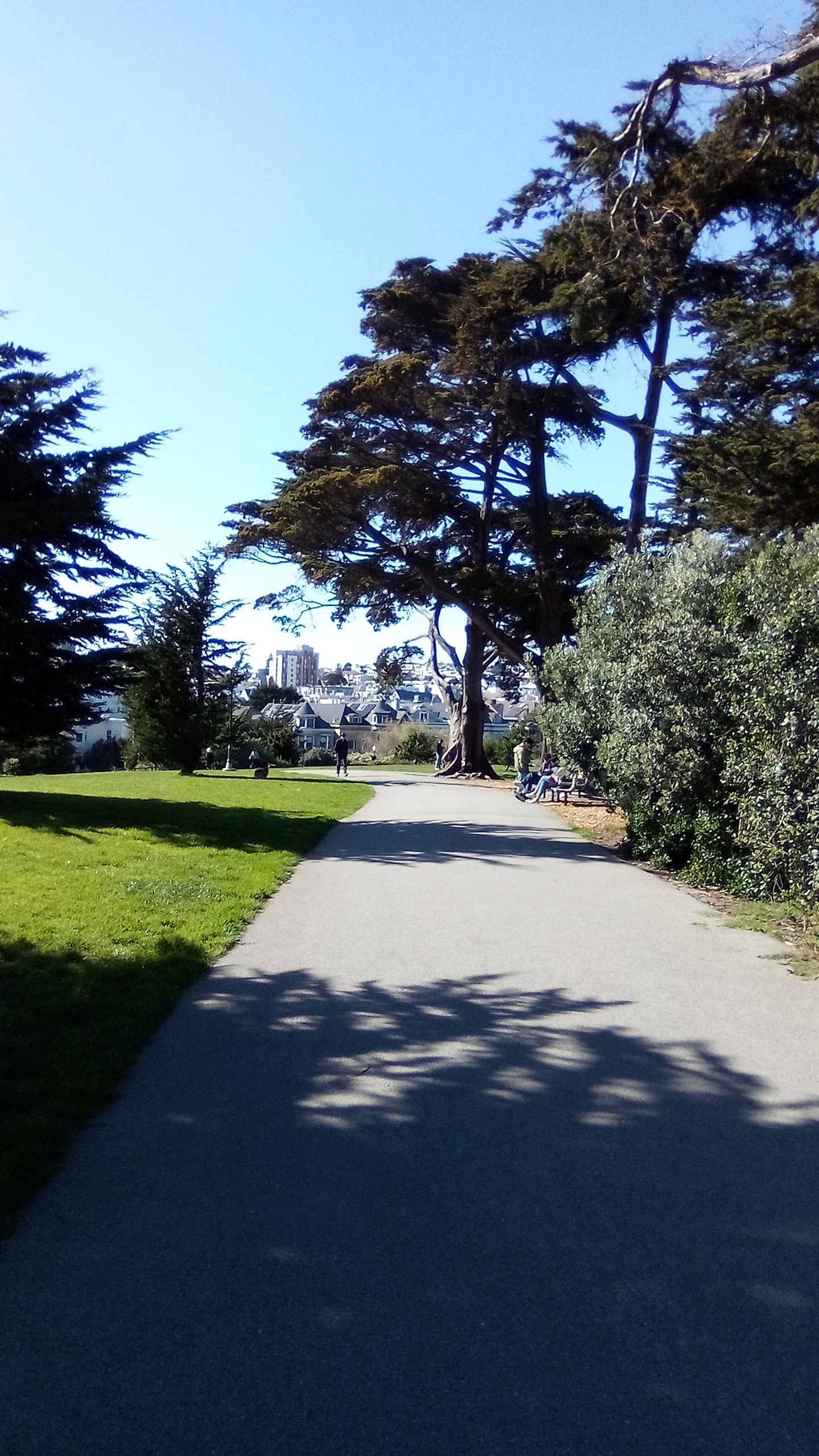 IMG_20250306_144329.jpg