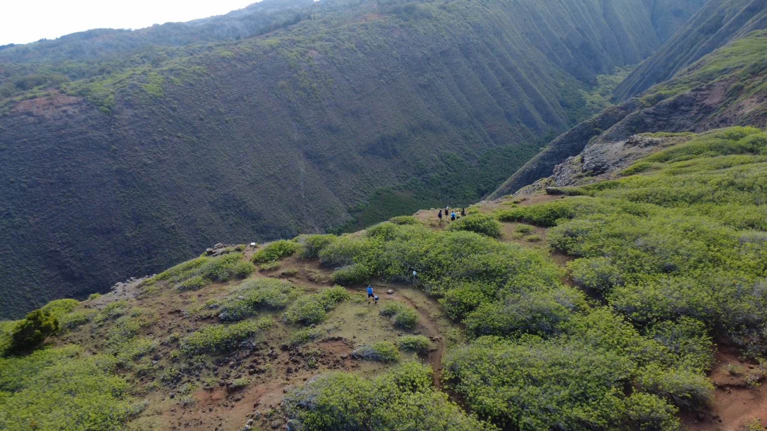 dji_fly_20250310_100106_168_1741636996965_photo_optimized.jpeg