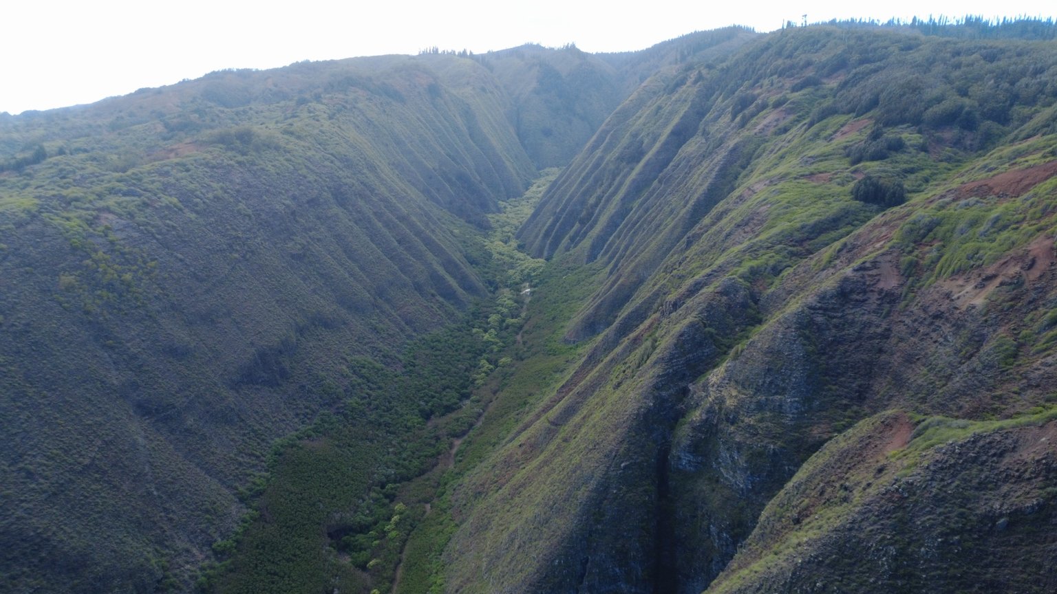 dji_fly_20250310_100512_172_1741637236778_photo_optimized.jpeg