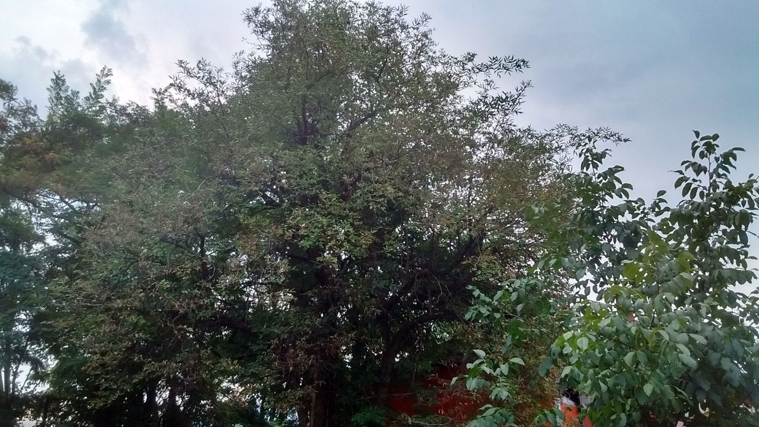 IMG_20180903_182537106_HDR++.jpg