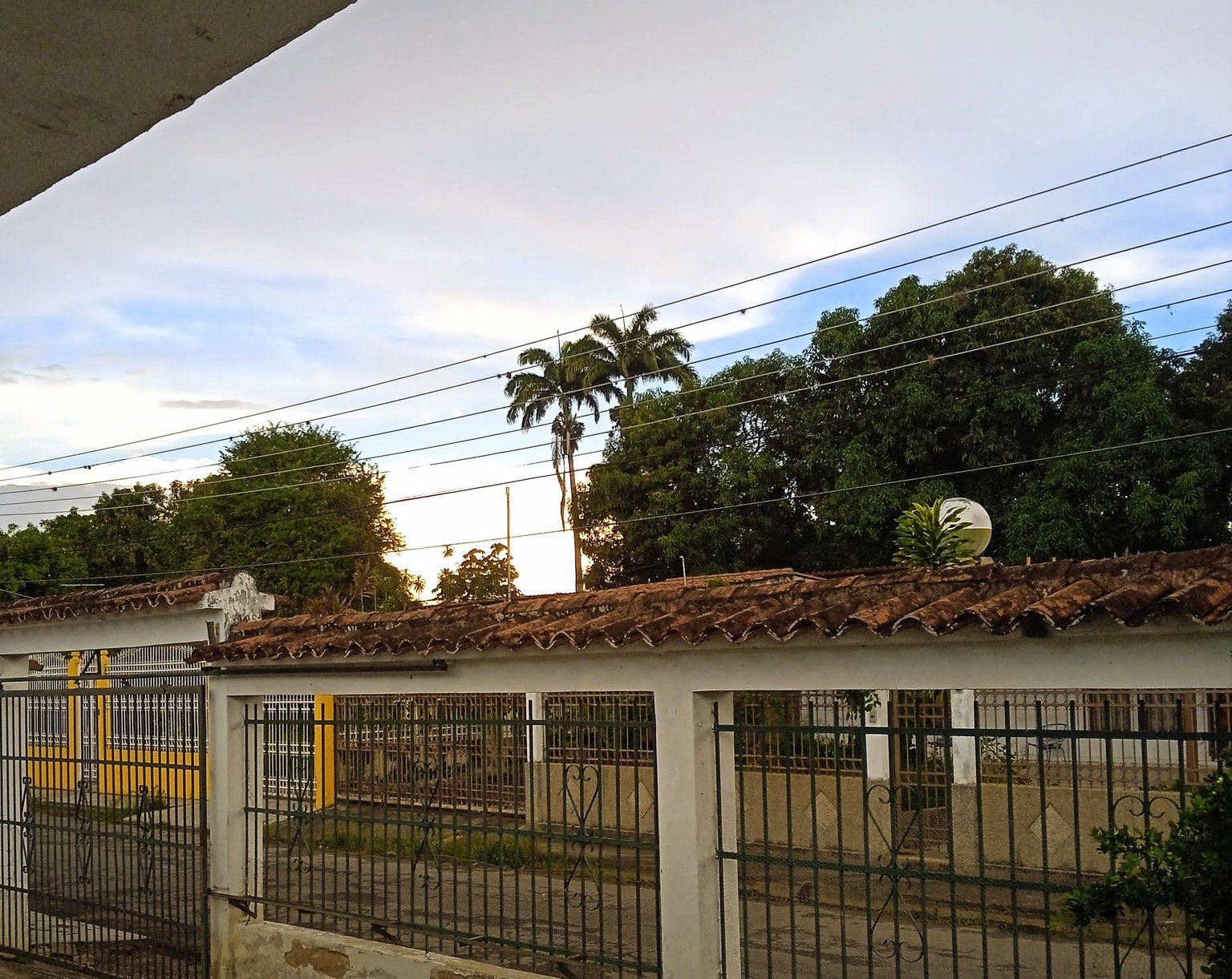 IMG_20220608_182422.jpg