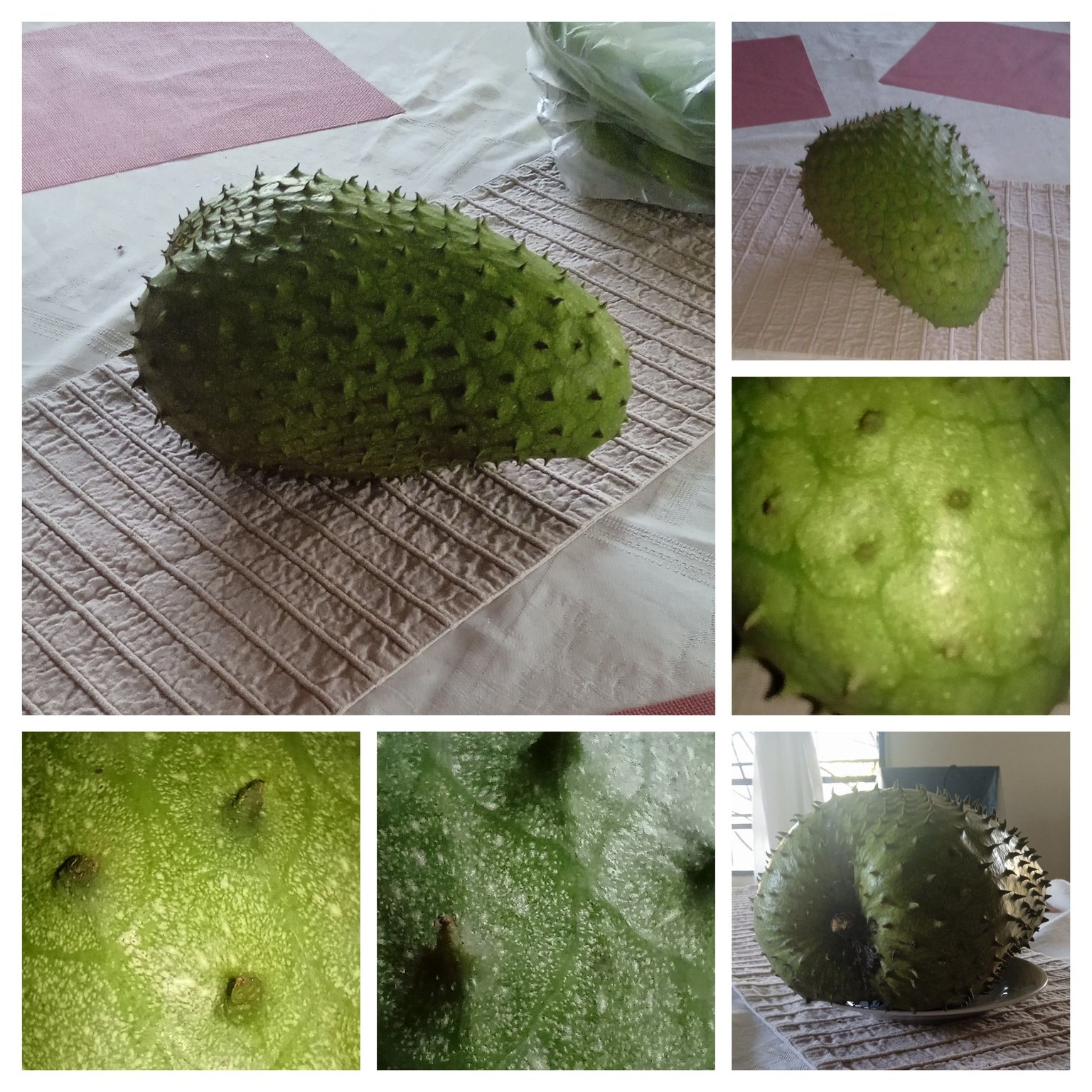 20230510_003957-COLLAGE.jpg